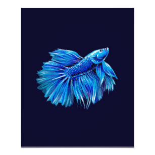 Blauer Bettfisch an der Marine  Aquarium Lover Flyer