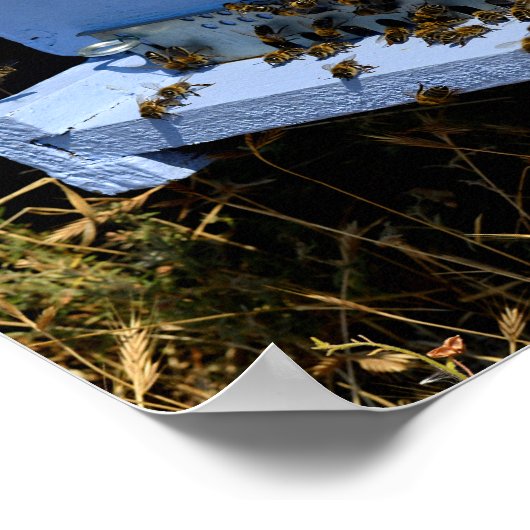 Blauer Bienenstock Poster (Ecke)