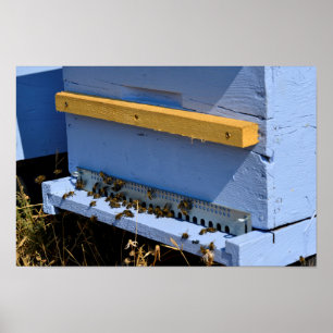 Blauer Bienenstock Poster