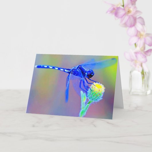 Blauer Blank der blauen Libelle Karte (Orchidee)