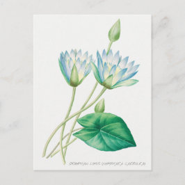 Blauer Blauer Lotus Blume Botanische Illustration Postkarte