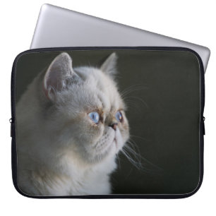 BLAUER BLICK LAPTOPSCHUTZHÜLLE