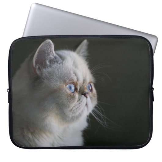 BLAUER BLICK LAPTOPSCHUTZHÜLLE (Vorderseite)