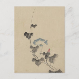 Blauer Blossom des Morgenglorys über Wein von Hoku Postkarte