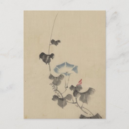Blauer Blossom des Morgenglorys über Wein von Hoku Postkarte (Vorderseite)