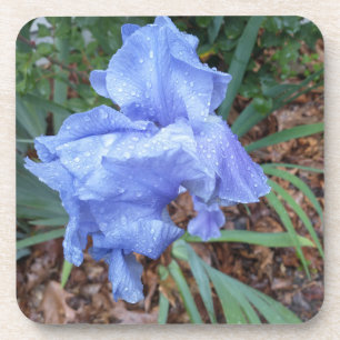 Blauer Blume Iris grüne Blätter Tröpfchen Unterset Getränkeuntersetzer