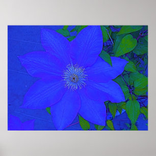 Blauer Blumen-Bengel-Druck Poster