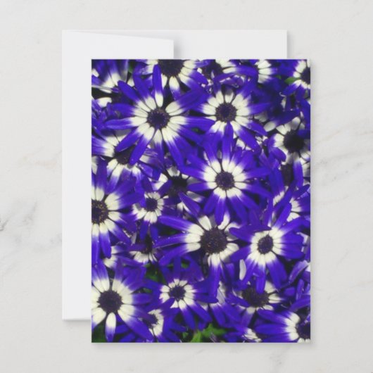 Blauer Blumen Einladung (Vorderseite)