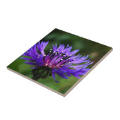 Blauer Blumenblume Blume blüht die Liebe des Fried Fliese (Seite)
