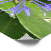 Blauer Blumendruck Poster (Ecke)