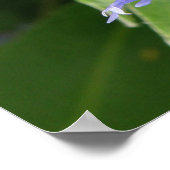 Blauer Blumendruck Poster (Ecke)