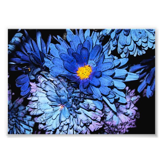 Blauer Blüten 7x5 Fotodruck (Vorne)