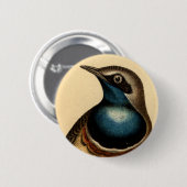 Blauer Breasted Vogel Button (Vorne & Hinten)
