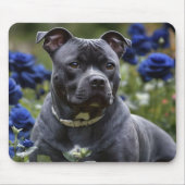 "Blauer Brindle Beauty: Ein Geheimtipp mit blauen Mousepad (Vorne)