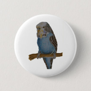 Blauer budgie Kunstknopf Button
