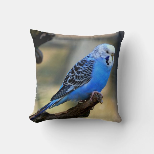 Blauer Budgie Papagei Kissen (Vorderseite)