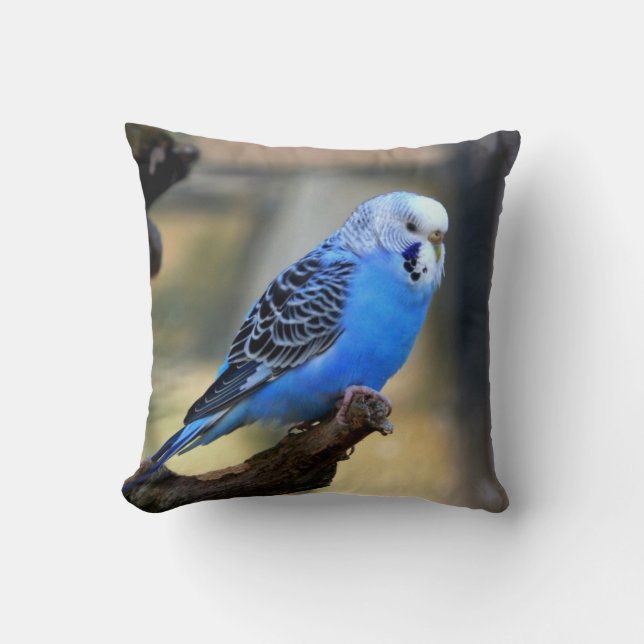 Blauer Budgie PapageiParakeet Kissen (Vorderseite)