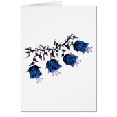 Blauer Canterbury Bells Weintrauben Blume Sympathi (Vorne)