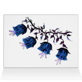 Blauer Canterbury Glocken auf Weinbergen Blume wer (Innenansicht Horizontal (Oben))