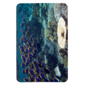 Blauer Chirurgenfisch Magnet (Vertikal)