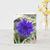 Blauer Cornflower Karte (Gelbe Blume)