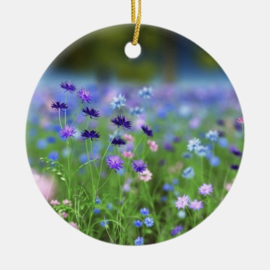 Blauer Cornflower Ornament (Vorne)