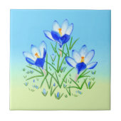 Blauer Crocus Blassblau und Gelbe Keramik Tile Fliese (Vorderseite)
