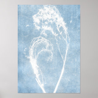 Blauer Cyanotypie-Pflanzen-Herz-Plakat Poster