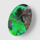 Blauer Damselfly auf einem grünen Blatt Runde Wanduhr (Winkel)