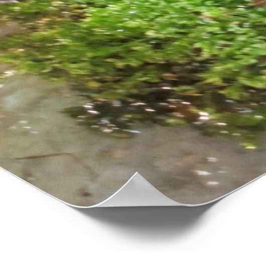 Blauer Dart Frog Poster (Ecke)