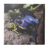 Blauer Dart Frog versteht keinen persönlichen Raum Fliese (Vorderseite)