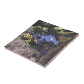 Blauer Dart Frog versteht keinen persönlichen Raum Fliese (Seite)
