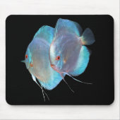 Blauer Diamantdiskusfisch ,No.01 Mousepad (Vorne)