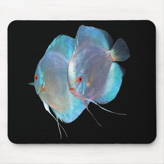 Blauer Diamantdiskusfisch ,No.01 Mousepad (Vorne)