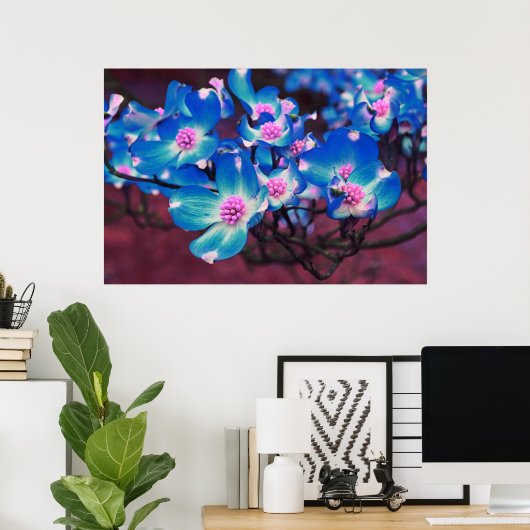 Blauer Dogwood Poster (Heimbüro)