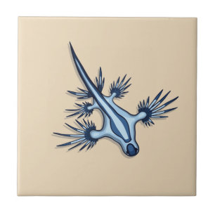 Blauer Drache Nudibranch Fliese