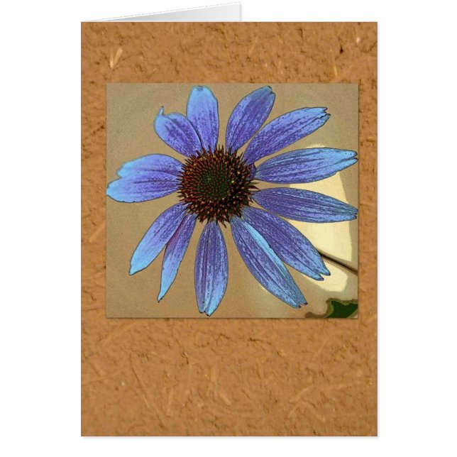 Blauer Echinacea (Vorne)