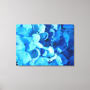 Blauer Eindruck - Hydrangea-Blume im Sommer Leinwanddruck