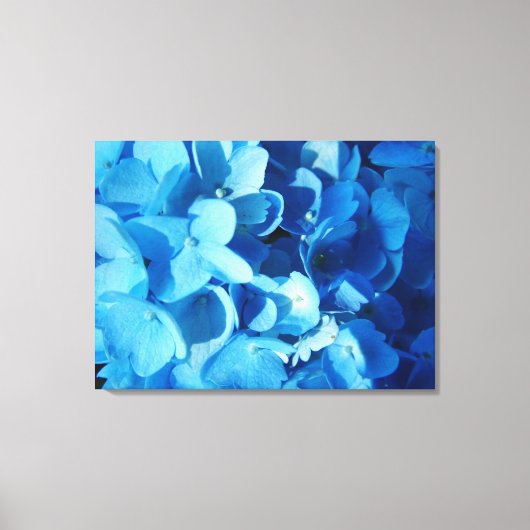Blauer Eindruck, Hydrangea-Blume Leinwanddruck (Vorderseite)