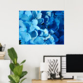 Blauer Eindruck (Hydrangea) Poster (Heimbüro)