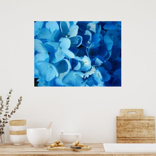 Blauer Eindruck (Hydrangea) Poster (Küche)