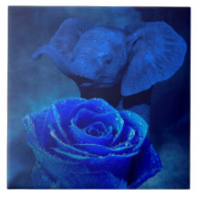 Blauer Elefant und Rose