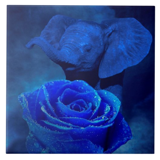 Blauer Elefant und Rose Fliese (Vorderseite)