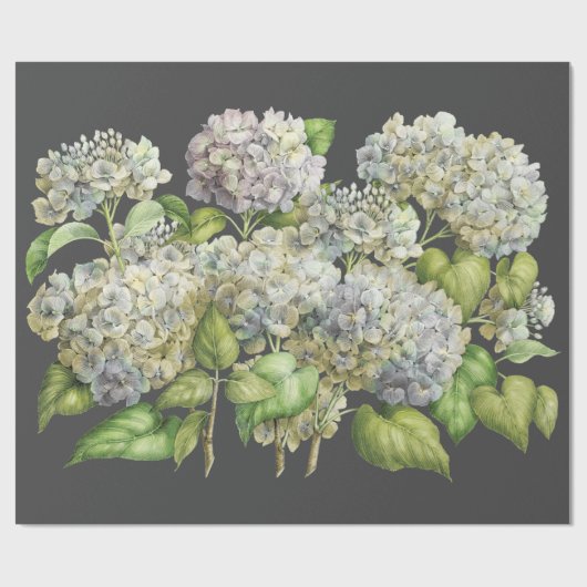 Blauer Elegant Blauer Hydrangea Schwarzer Deko Geschenkpapier (Flach)