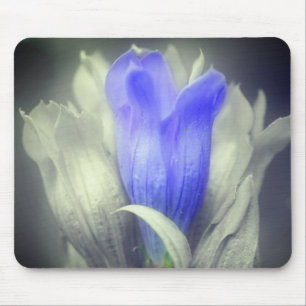 Blauer Enzian in Schwarzweiß Mousepad