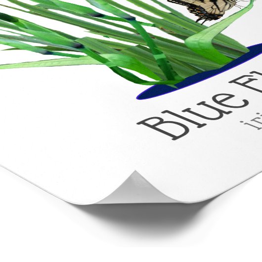 Blauer Fahne Iris und Frack Schmetterlinge Poster (Ecke)