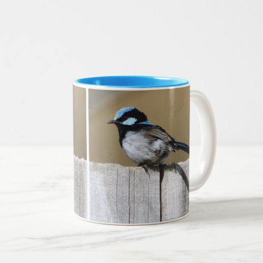 Blauer Fairy-Wren-Tasse Zweifarbige Tasse (VorderseiteRechts)