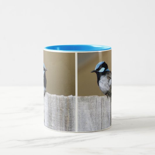 Blauer Fairy-Wren-Tasse Zweifarbige Tasse (Mittel)