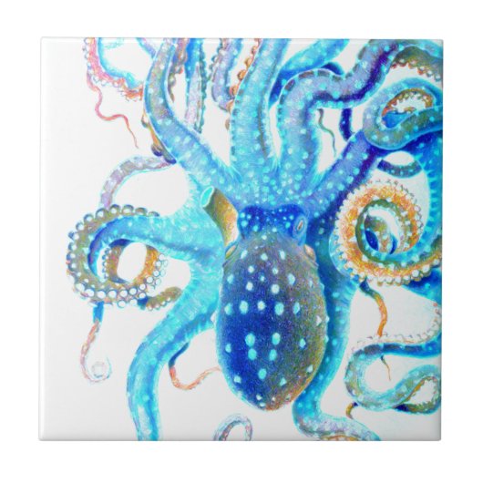 Blauer farbenfroher Oktopus Fliese (Vorderseite)