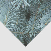 Blauer Fichtengrauer Winter Seidenpapier (Ausschnitt)